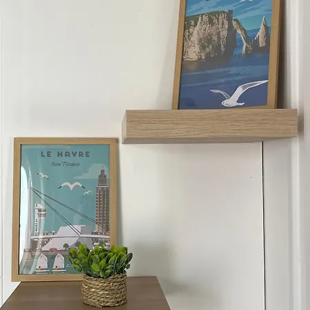 Appartement Coconing Le Havre