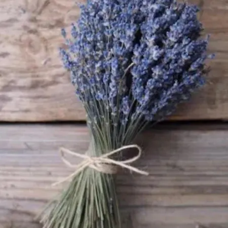 Appartement Coconing Le Havre