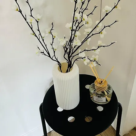 Coconing Appartement Le Havre